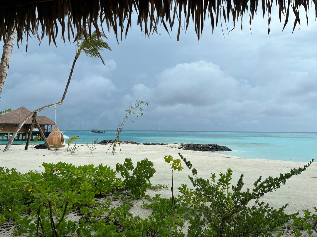 Barceló Whale Lagoon Maldives主图