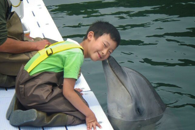 Shimanami Dolphin Farm-今治市必去景点