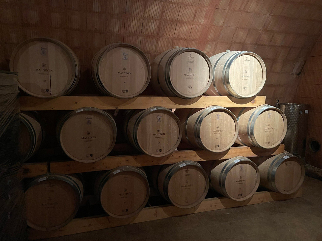 Celler Burgos Porta景点图片