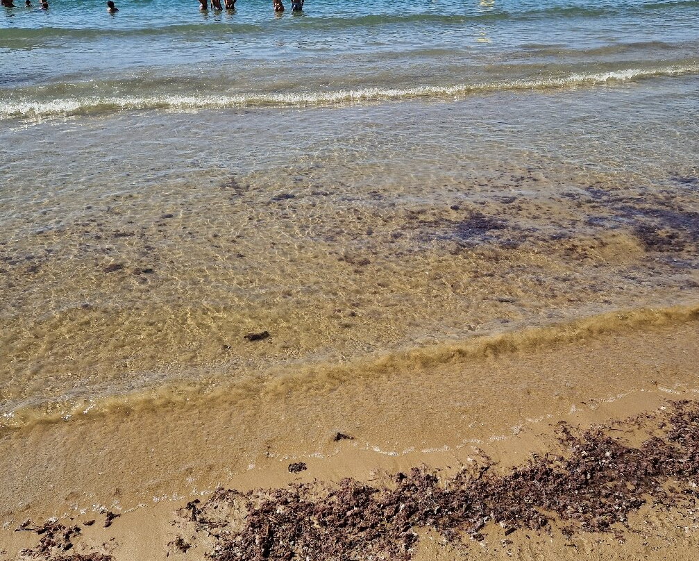 Platja dels Capellans景点图片