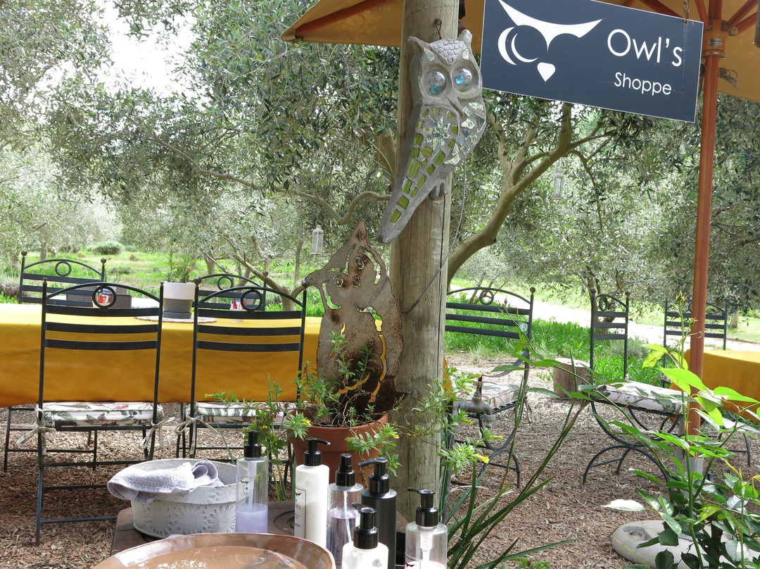 Owl's Rest Olive and Lavender Farm-Robertson必去景点