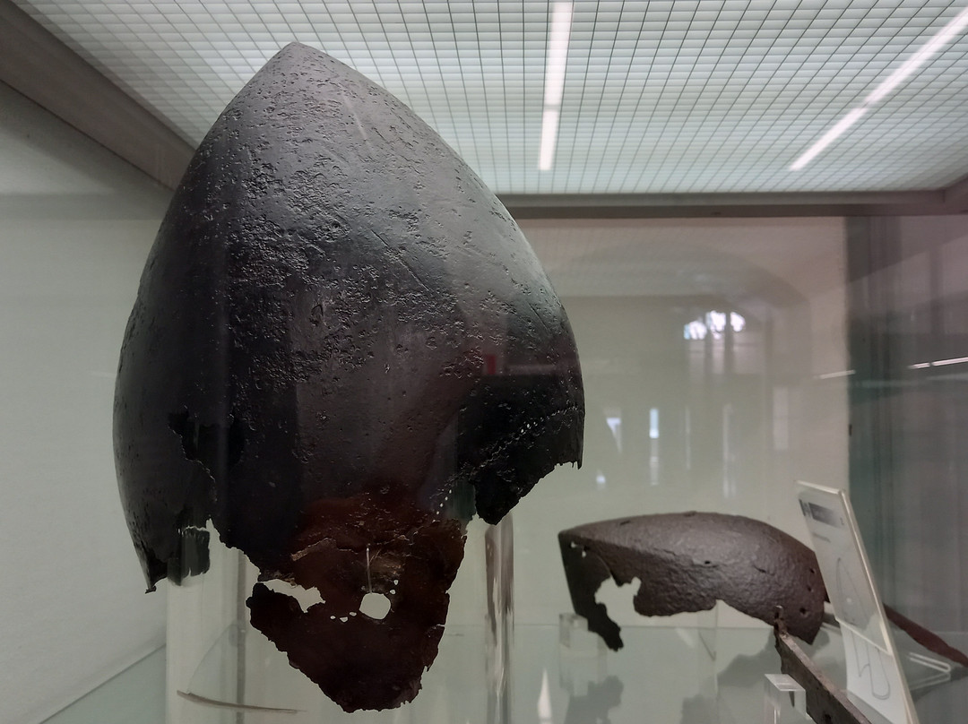 Museo della Fondazione Fioroni景点图片