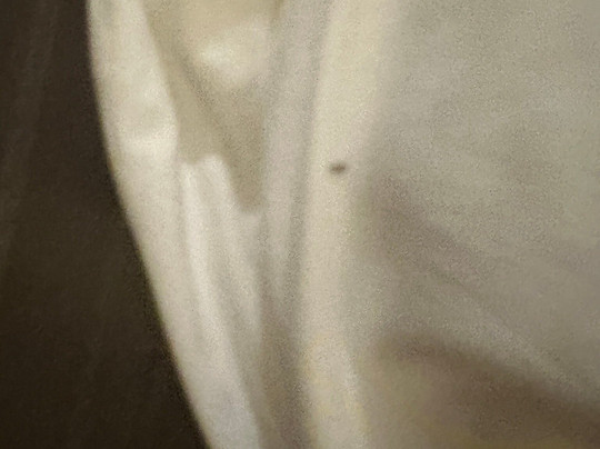 多尔切亚特兰大桃树酒店主图