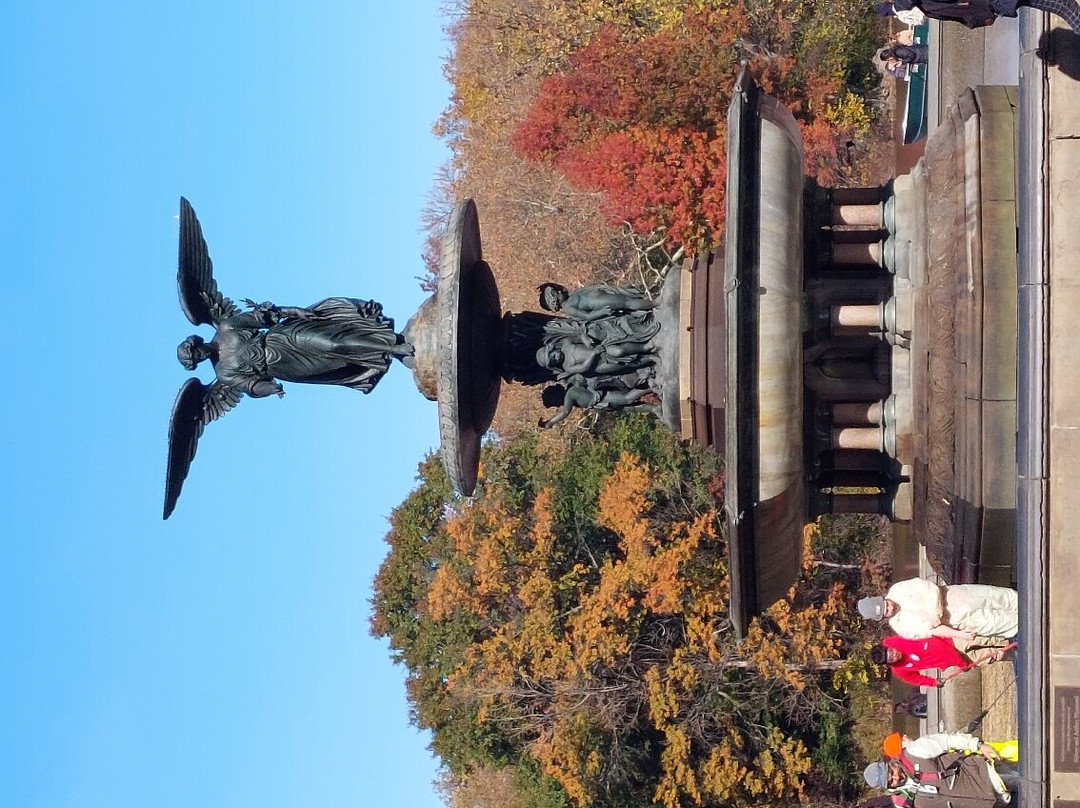 Central Park & Environs Walking Tours-纽约市必去景点