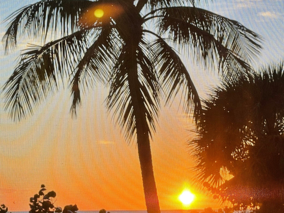 Pointe Estero Resort主图