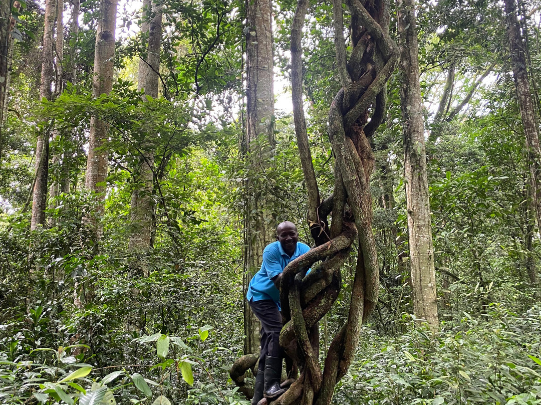 菲洛休闲花园酒店主图