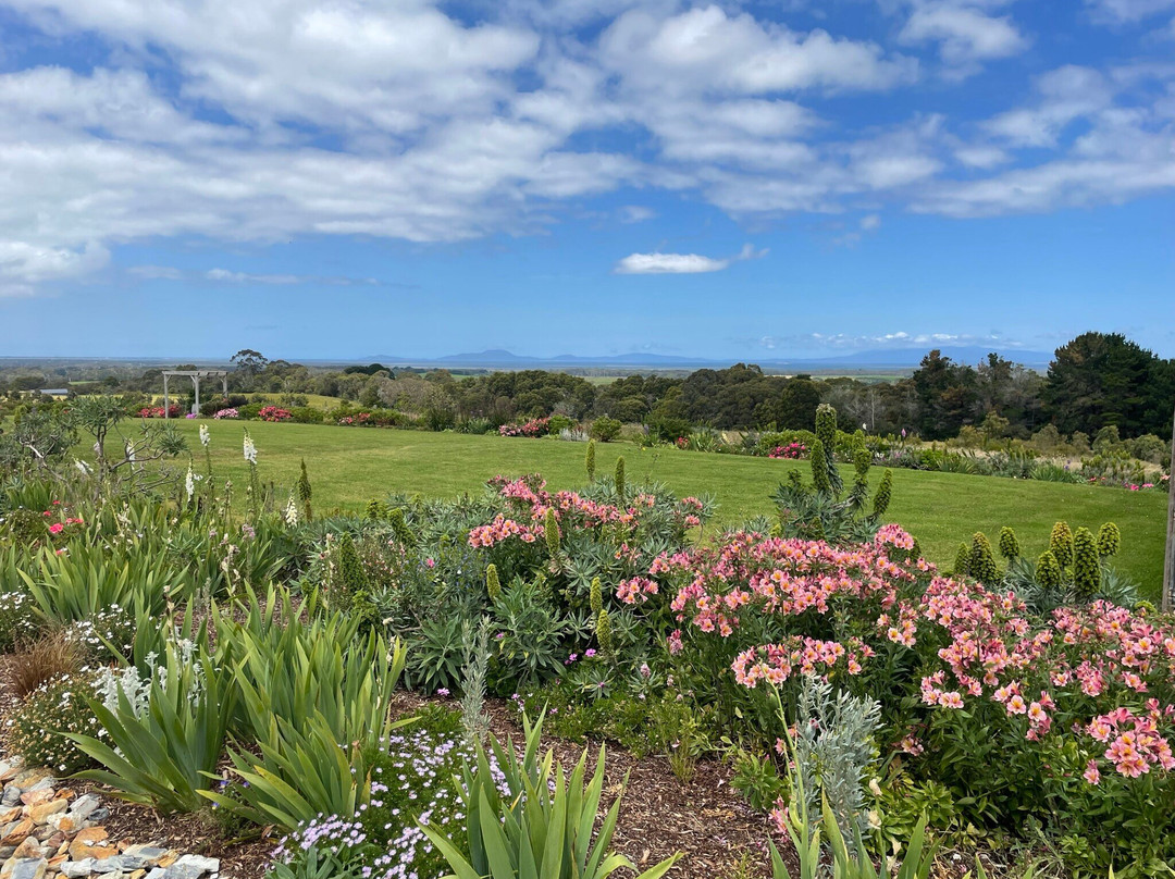 Gurneys' Cidery-福斯特必去景点
