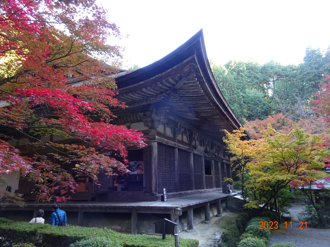 Kongorin-ji Temple-爱庄町必去景点