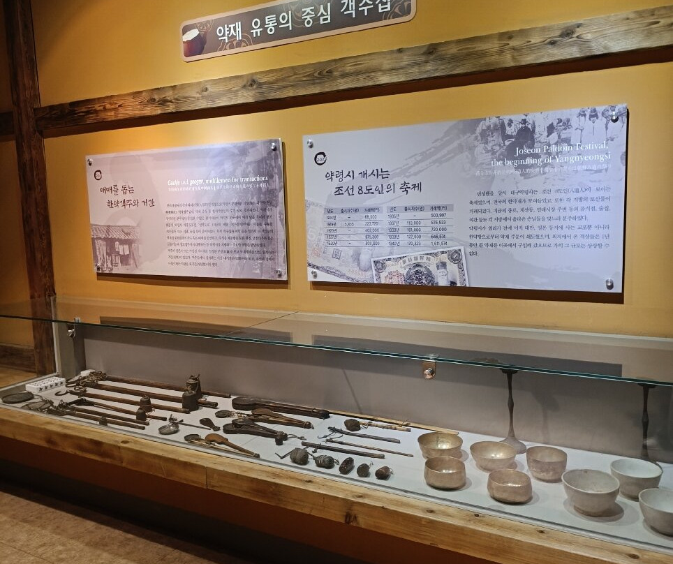 Daegu Yangnyeongsi Museum of Oriental Medicine-大邱必去景点