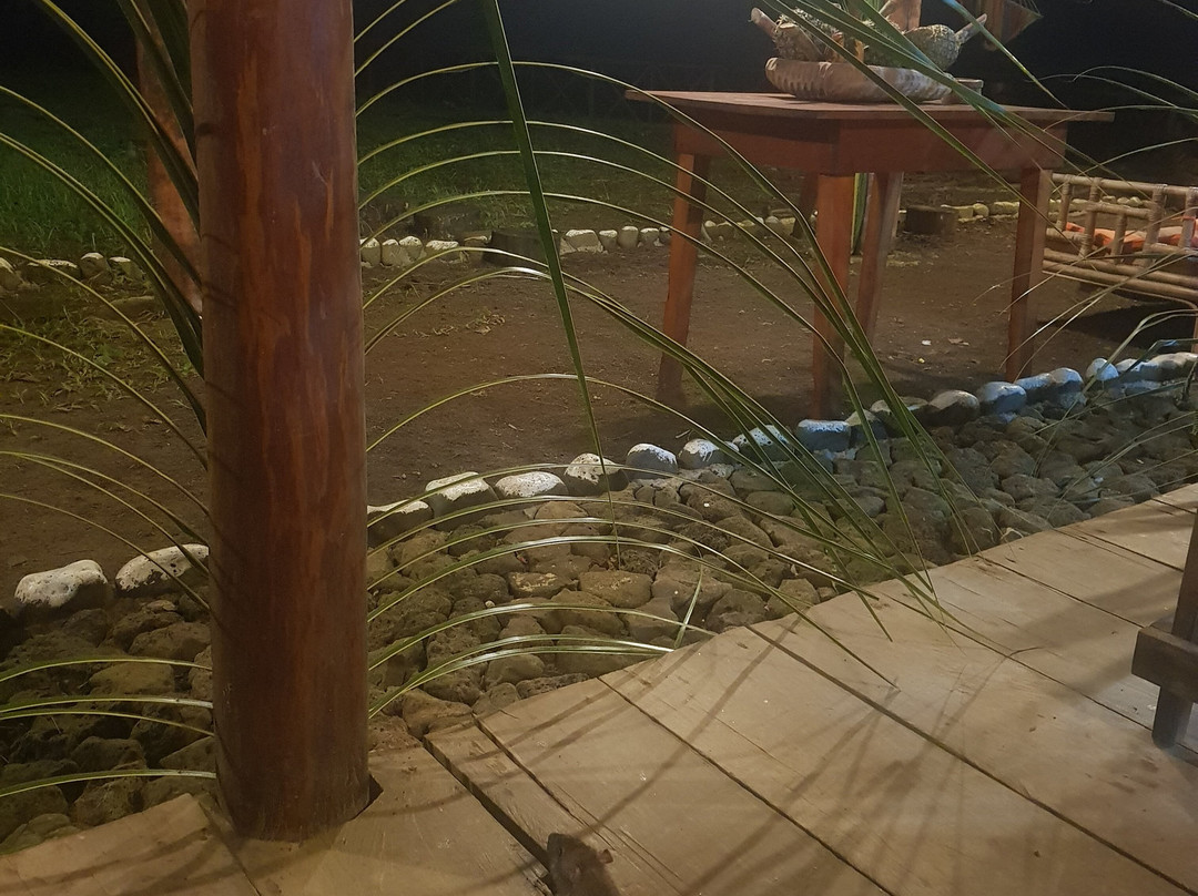 Gombela Ecolodge主图