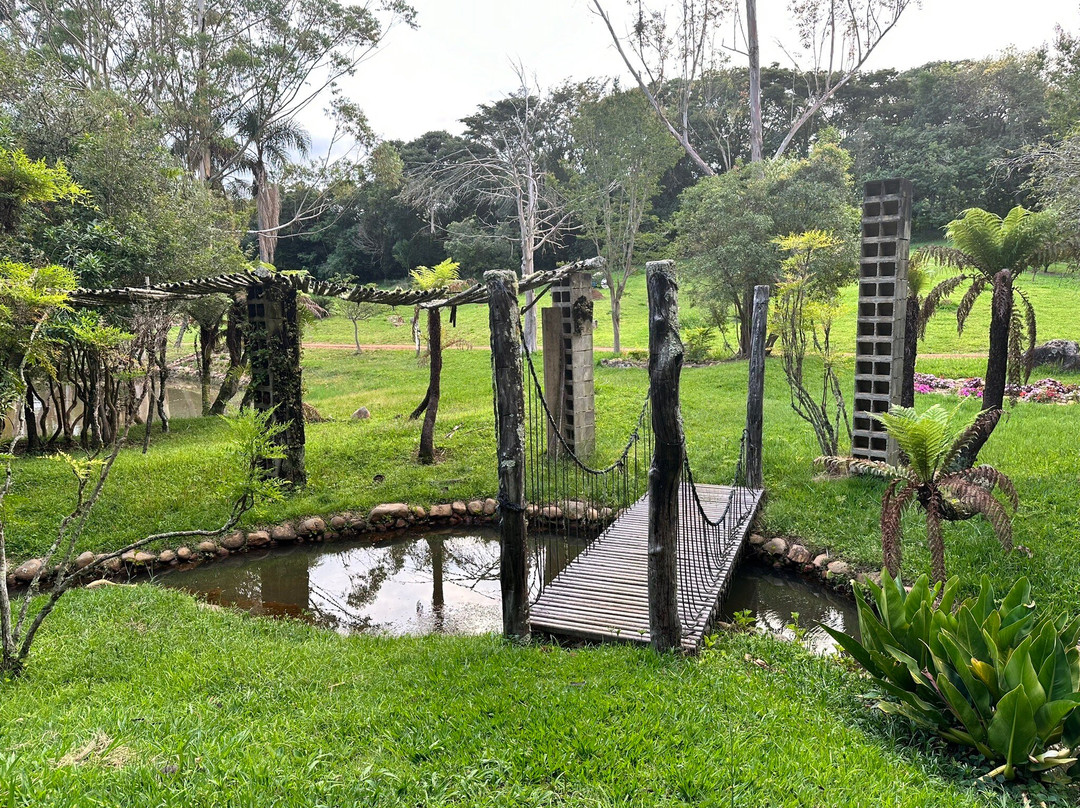 Paraíso Dos Tucanos主图