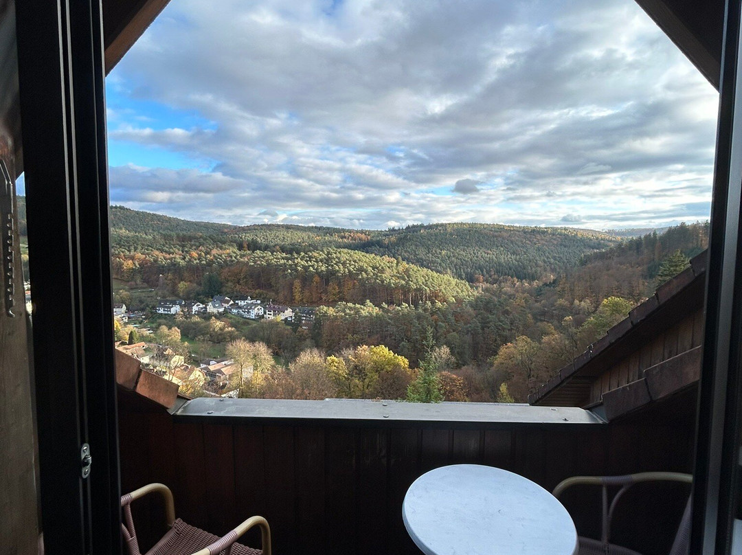 PANORAMA Hotel Heimbuchenthal主图
