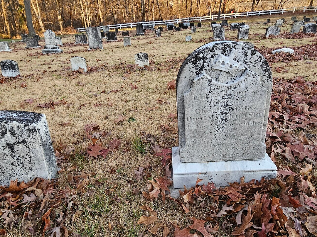 Broad Creek Cemetery-Street必去景点