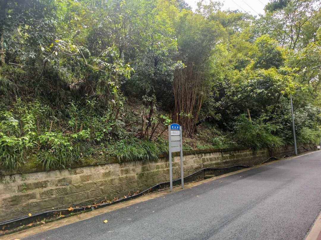 黄山蒋介石官邸