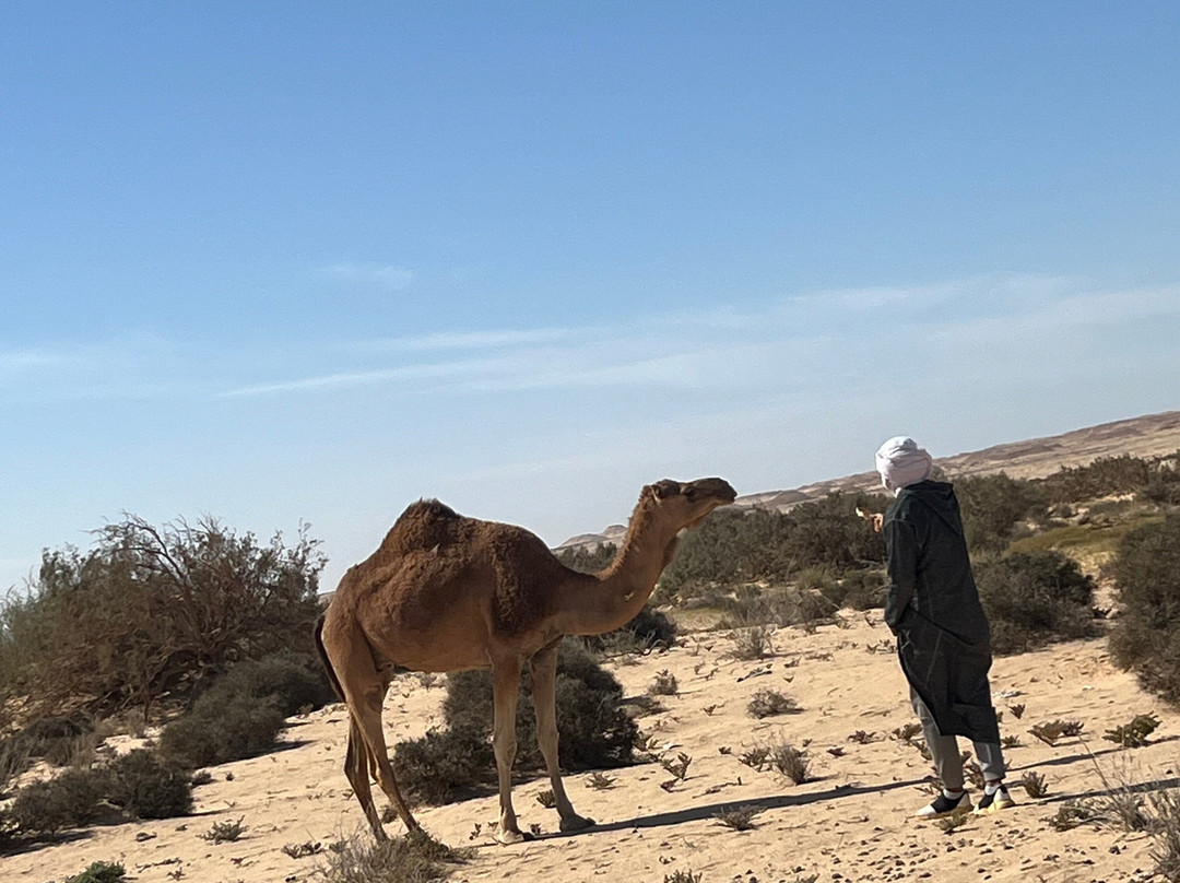 Dakhla Quad & Events-达赫拉必去景点