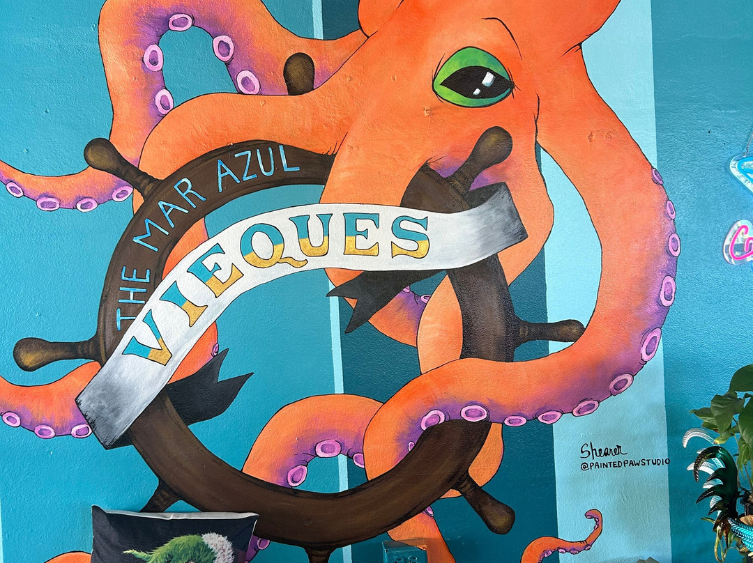 The Mar Azul Vieques-维切克岛必去景点