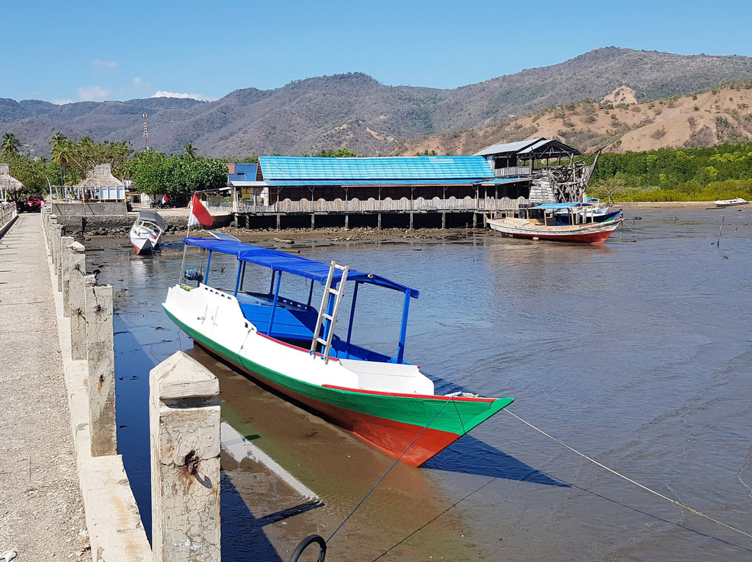 Riung 17 Island Marine Park景点图片