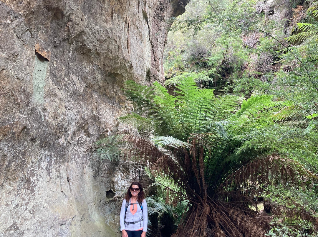 Glow Worm Tunnel-利特高必去景点