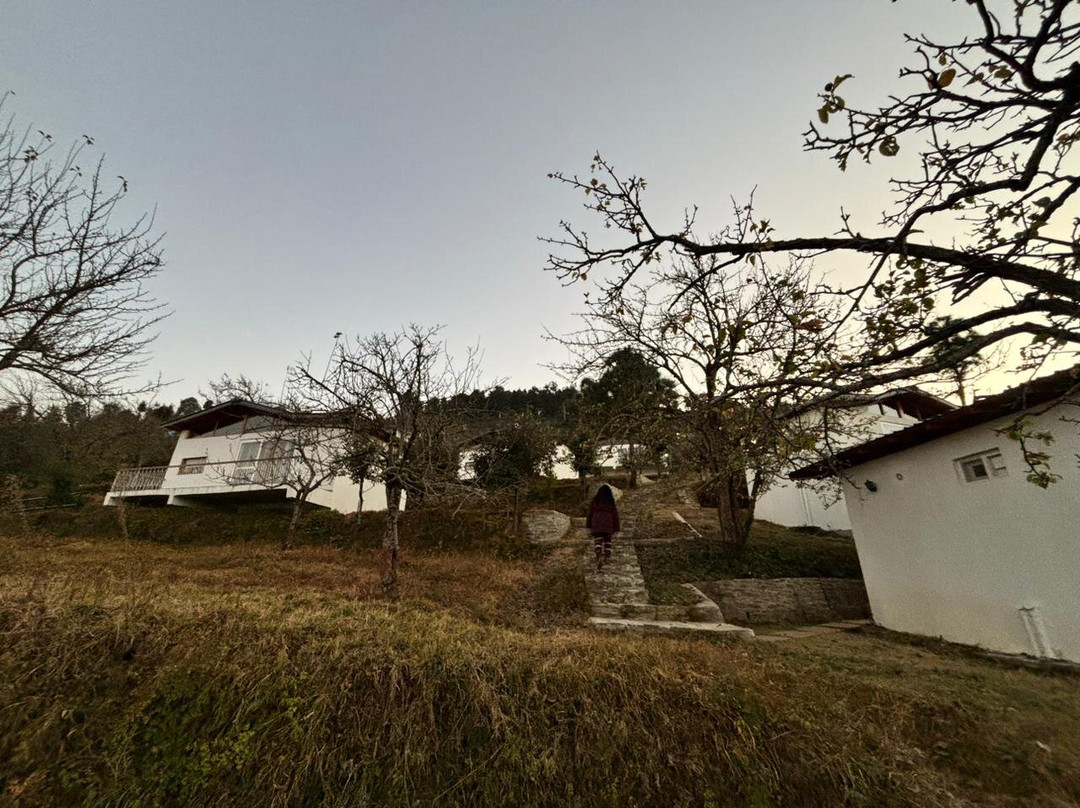 Shivoham Himalayan Resort主图