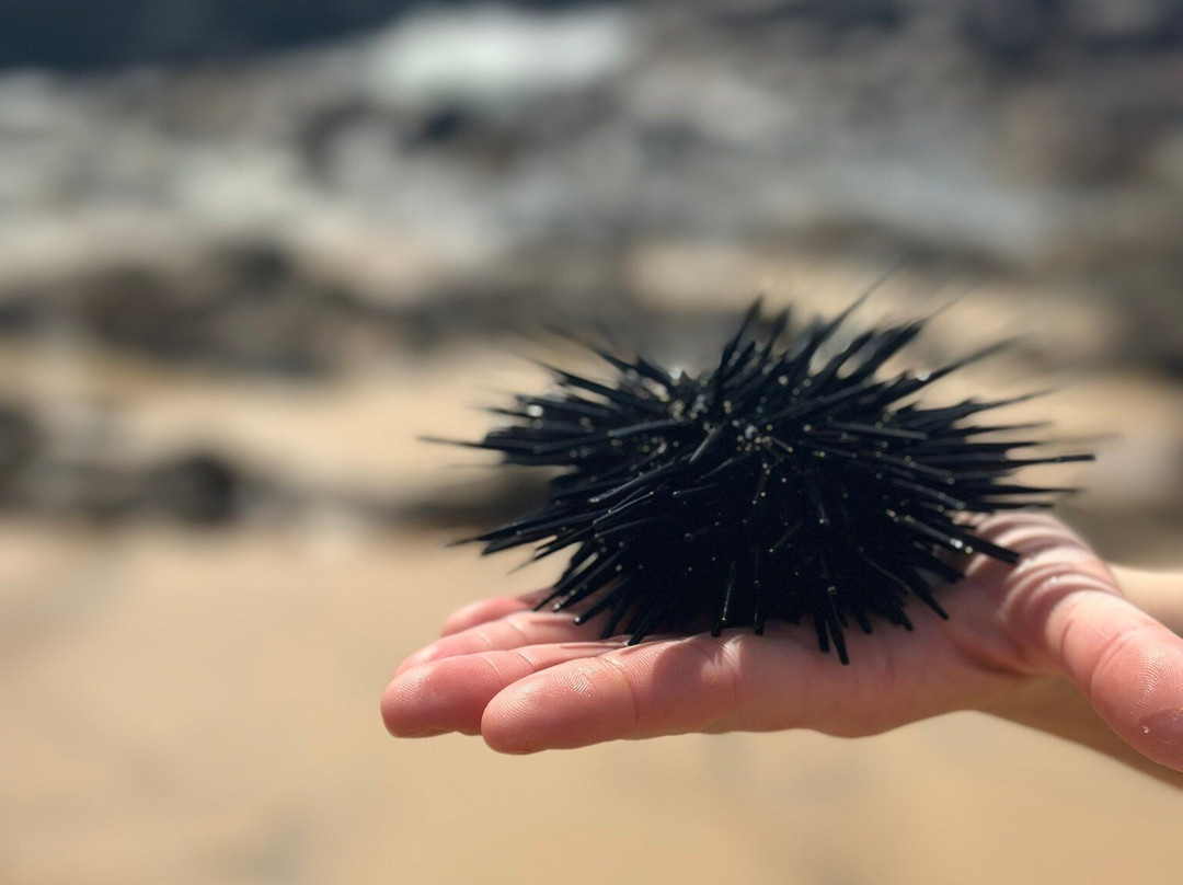 Turtle Point-美蕊沙必去景点