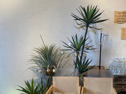 Gallery 2