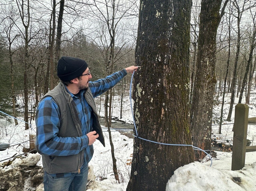 Robb Family Farm-布拉特尔伯勒必去景点