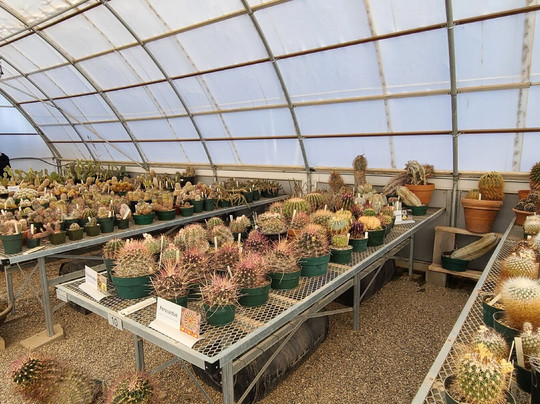 Chihuahuan Desert Nature Center & Botanical Gardens-Fort Davis必去景点
