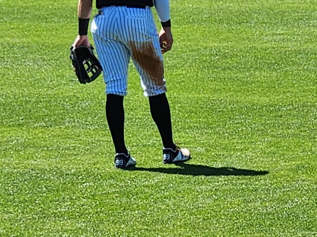 George M. Steinbrenner Field-坦帕必去景点