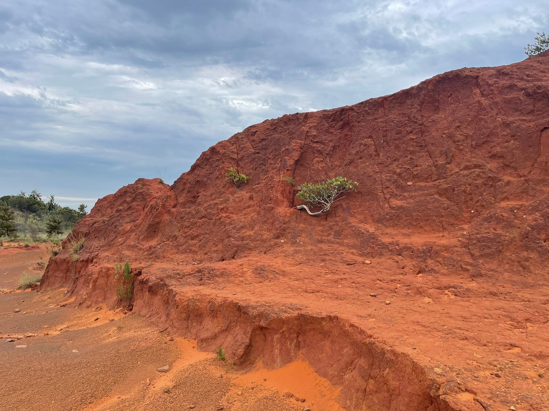 Red Desert-Port Edward必去景点