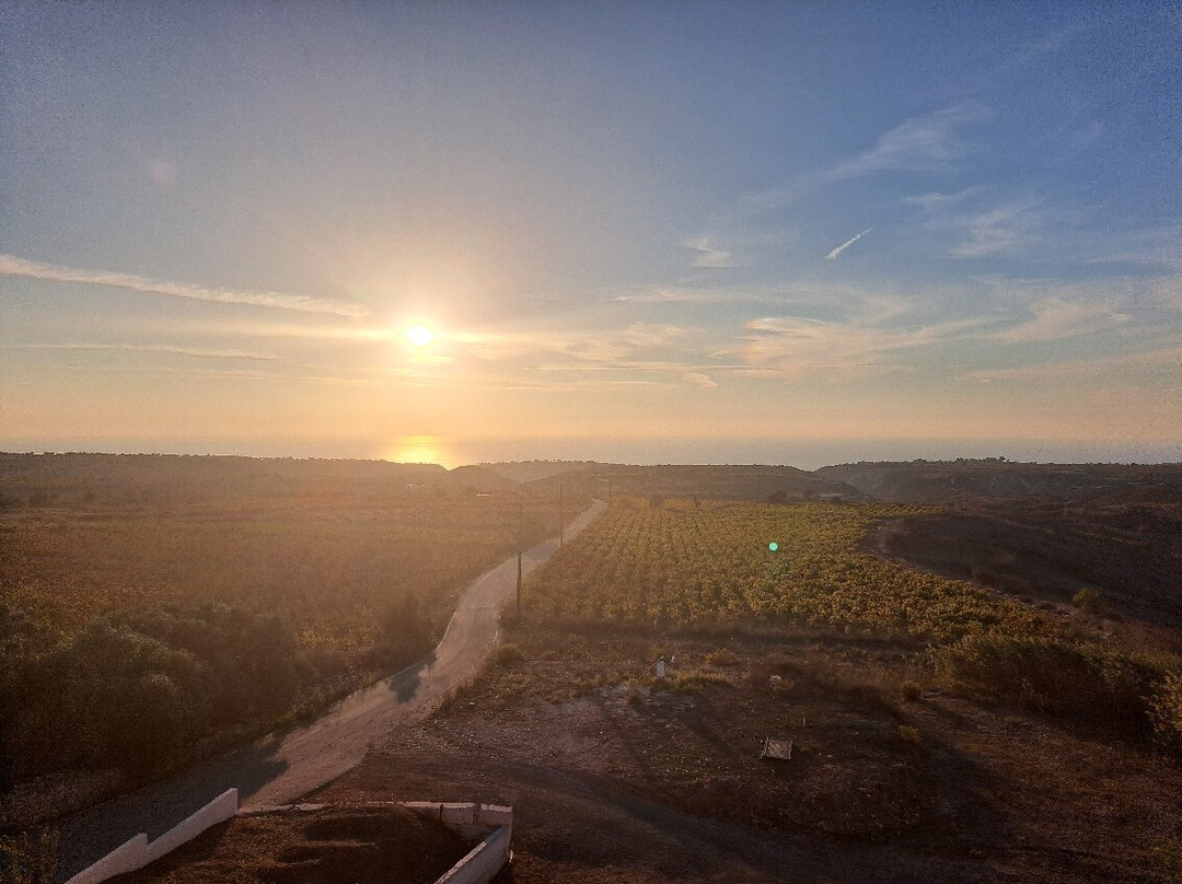 Vasilikon winery-卡西卡斯必去景点