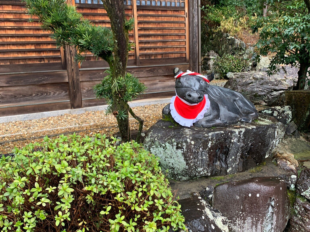 Nakatemma Shrine-城阳市必去景点