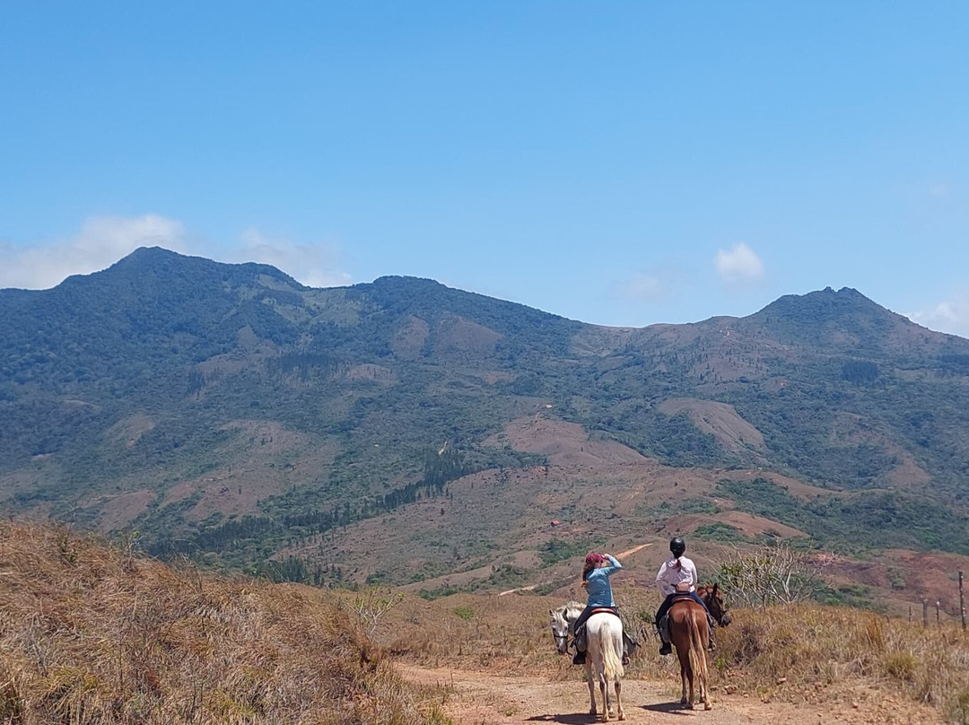 Horseback Panama Adventure Tours景点图片