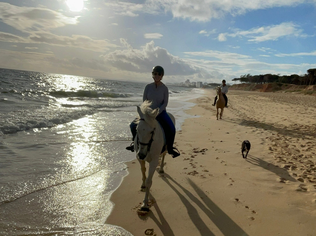 Clube Equestre A Palmeirinha景点图片
