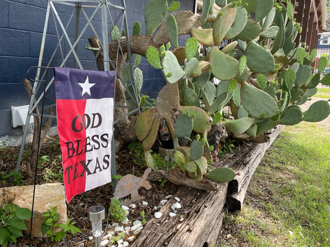 Indian Lodge Resort主图