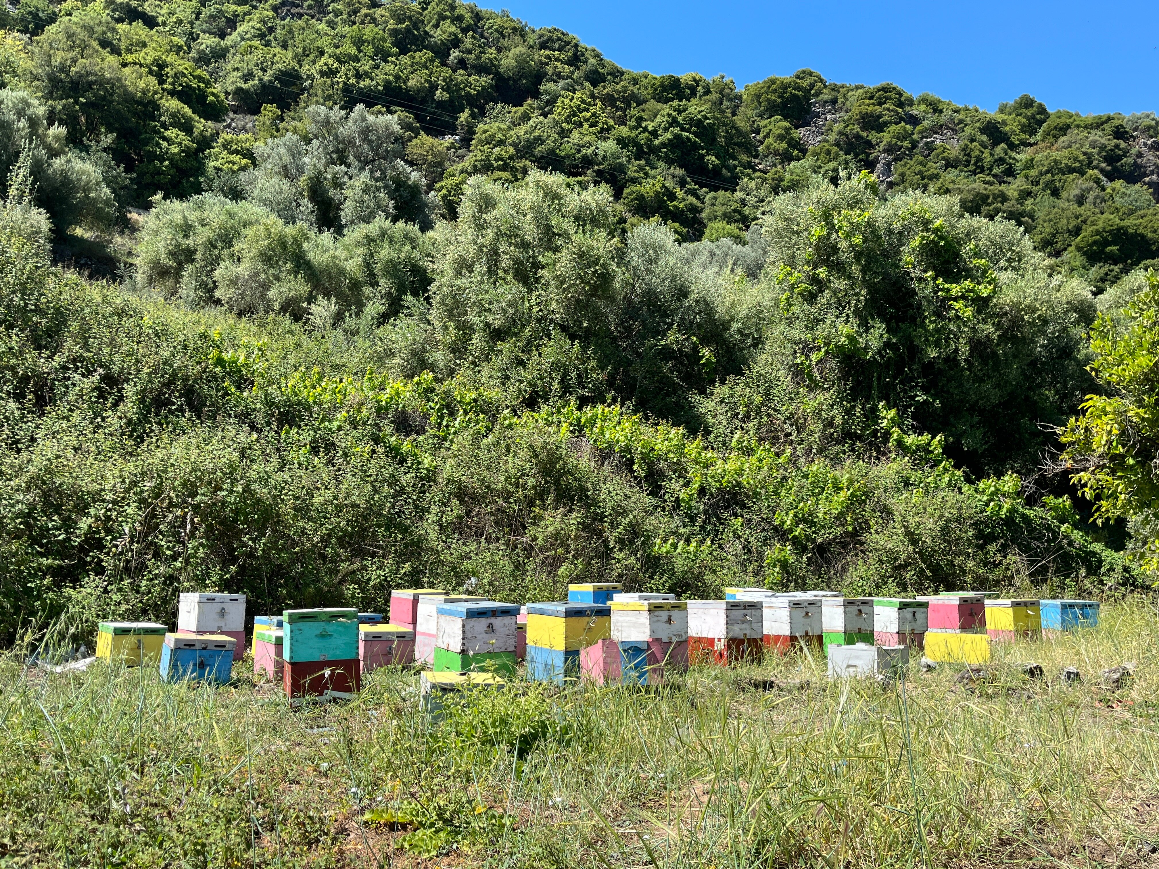 Enagron Cretan Ecotourism Village-浴室
