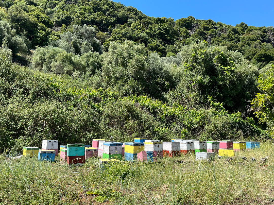 Enagron Cretan Ecotourism Village主图