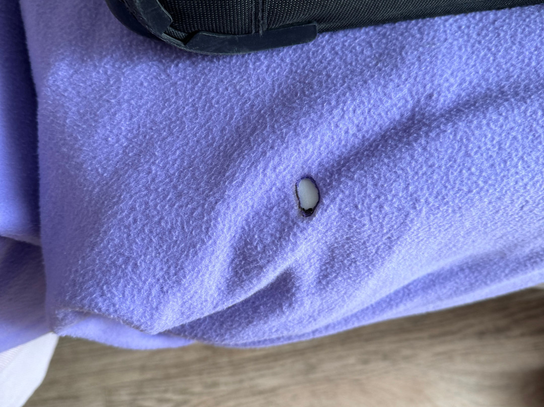 MLL Mediterranean Bay Hotel主图