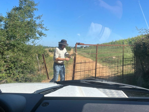 Limito Labirinto Di Vite-Bassiano必去景点