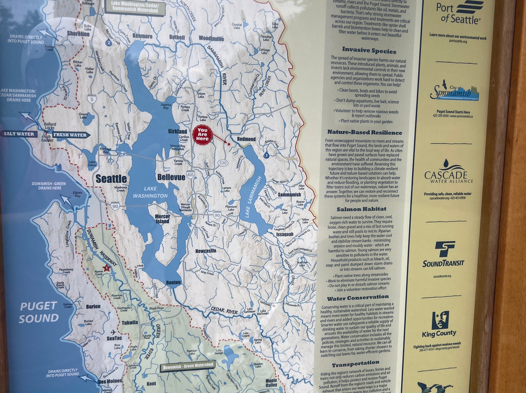 Cross Kirkland Corridor Trail-柯克兰必去景点