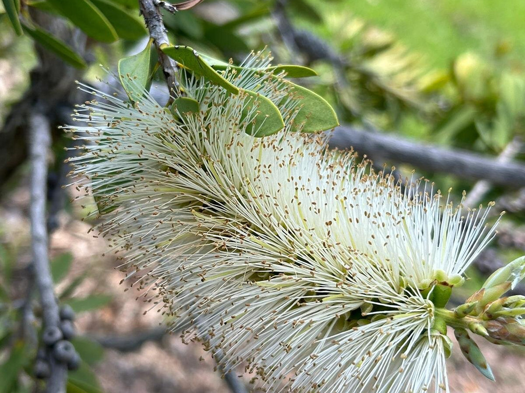 Jardin Exotique景点图片