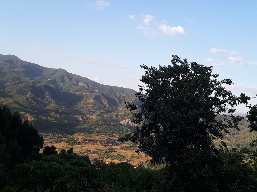 Chri Chri Guesthouse主图