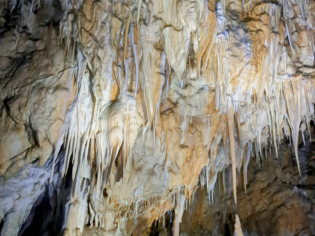 Grotta del Cervo景点图片