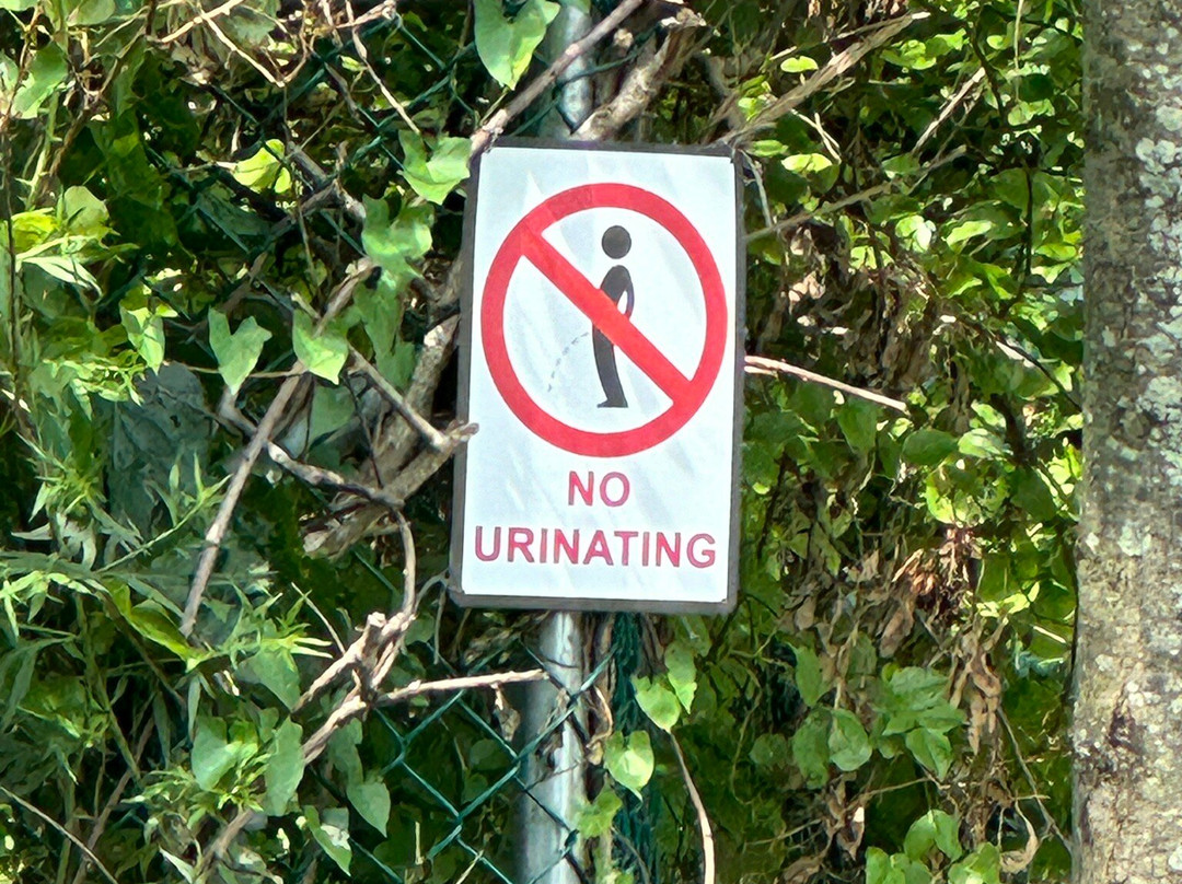 Wind Watch Golf & Country Club-Hauppauge必去景点