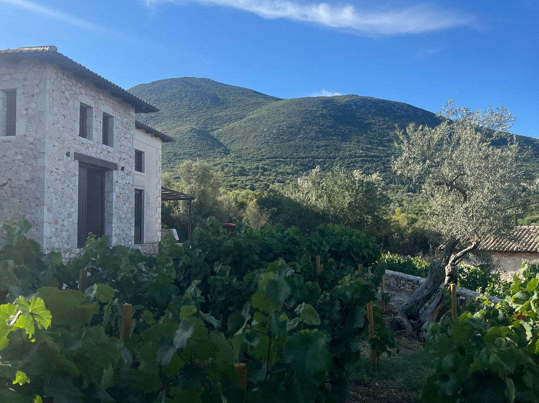 Lefkas Earth Winery-莱夫卡扎必去景点