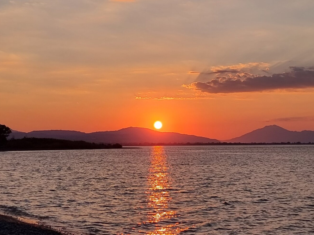 Hotel Lemonies主图