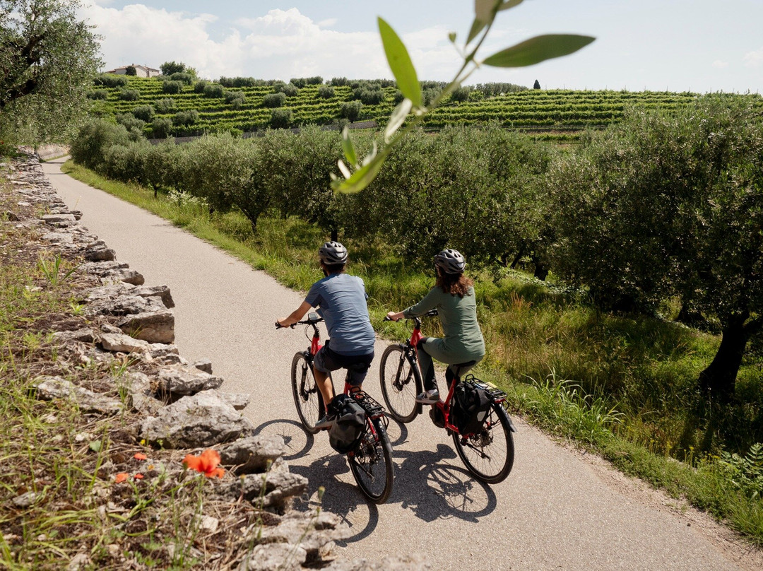 Itinera Bike & Travel