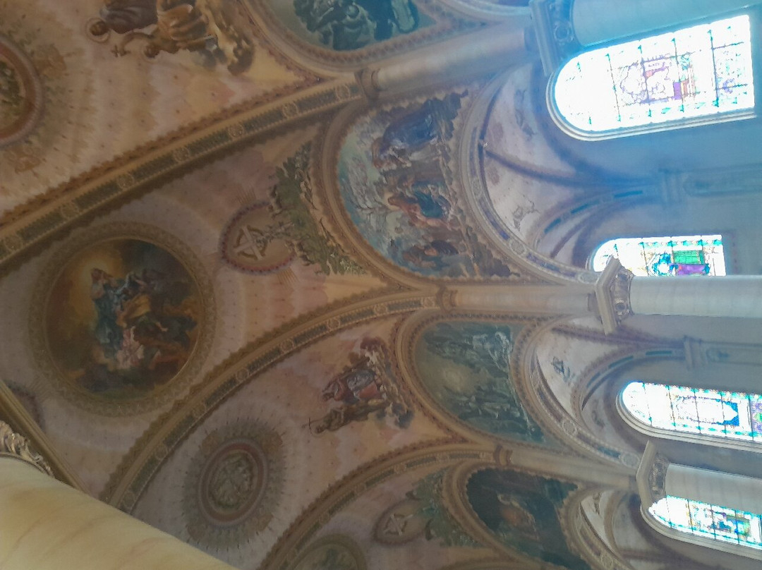 Catedral Metropolitana de Sao Francisco de Paula景点图片