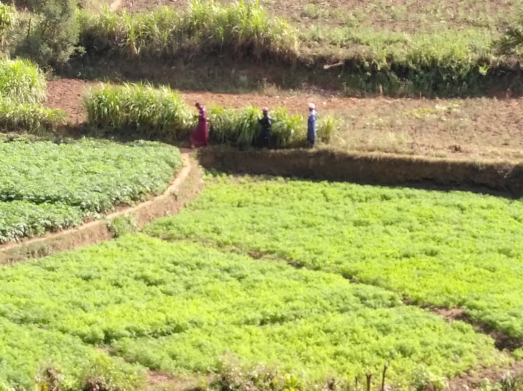 Tanzania Secret Within