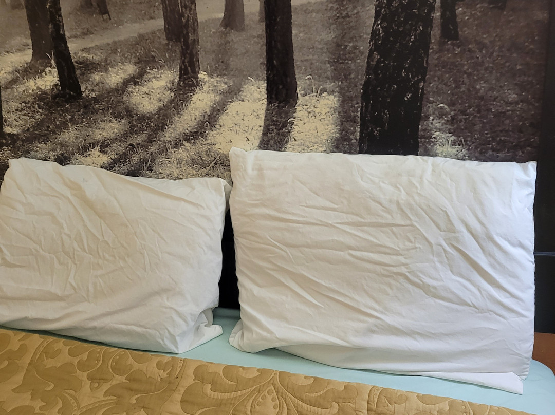 Express Inn & Suites主图