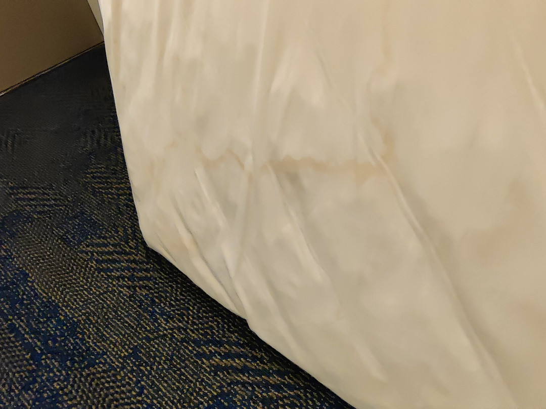 Microtel Inn by Wyndham Georgetown主图
